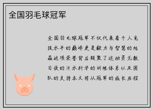 全国羽毛球冠军